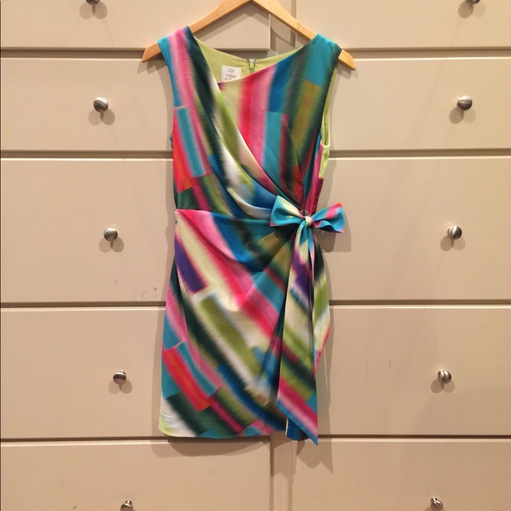 Suzi Chin dress